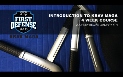 January Introduction to Krav Maga Course