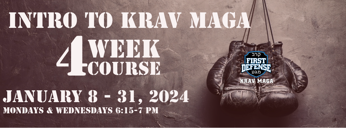 Introduction to Krav Maga Course