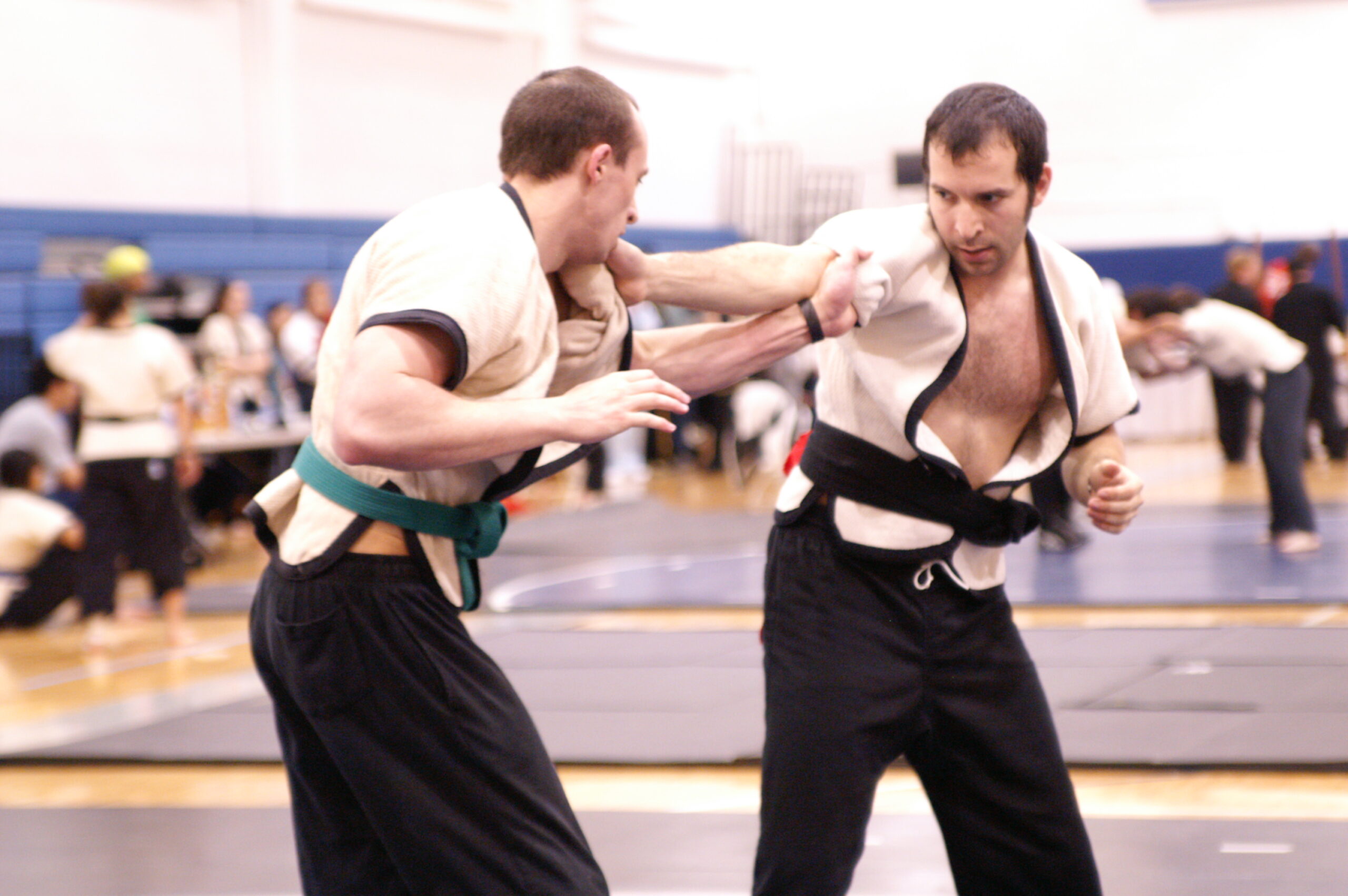 Shuaijiao Seminar